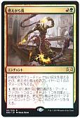 燃えがら蔦