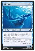 潜界イルカ