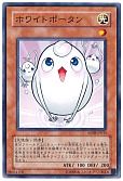 ホワイトポータン