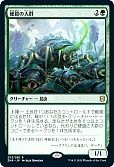 硬鎧の大群
