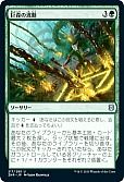 巨森の波動/Vastwood Surge