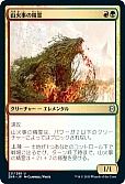 山火事の精霊