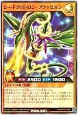 シードクロトロン・ブラッセルン