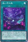 迷い花の森