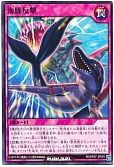 海豚反撃