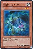幻影コオロギ