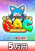 【遊戯王】カーナベルバッグ 5万円