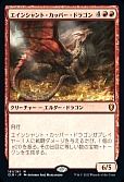 エインシャント・カッパー・ドラゴン