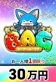 【遊戯王】カーナベルバッグ 30万円