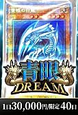 【遊戯王】9/6 カーナベル 青眼ドリーム