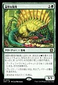 温厚な襞背