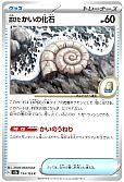 古びたかいの化石
