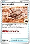 古びたこうらの化石