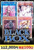 【遊戯王】11/13KA-NABELL ブラックボックス