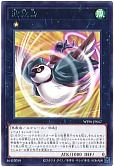 波紋鳥