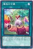 魔救の合縁