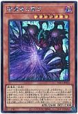闇魔導の覇王