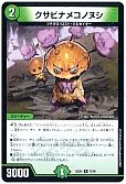クサビナメコノヌシ