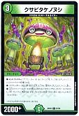 クサビタケノヌシ