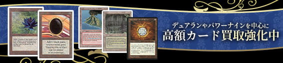 MTG】 セラの聖域/Serra's Sanctum(英語版) （レア） の買取