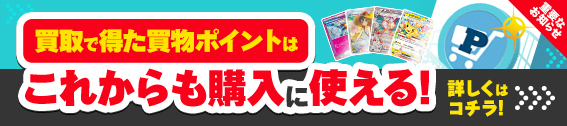 サトシのピカチュウ(075/SM-P) （レアリティ無し）【ポケモン