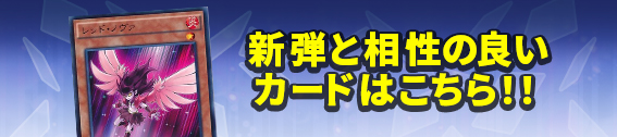 新弾関連　担当:井浦　期限期限：8/31