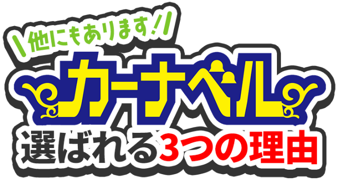 カーナベル選ばれる3つの理由