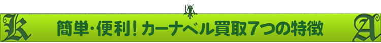 カーナベル7つの特徴